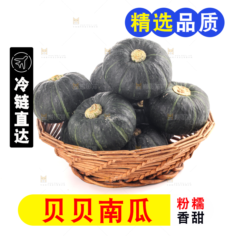 白底上放着的贝贝南瓜