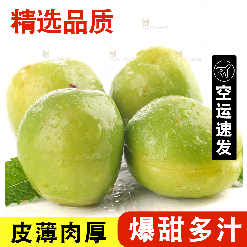 白底上的大梨杏