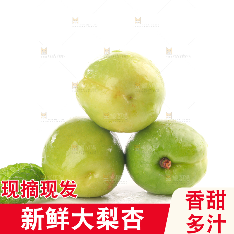 白底上的大梨杏
