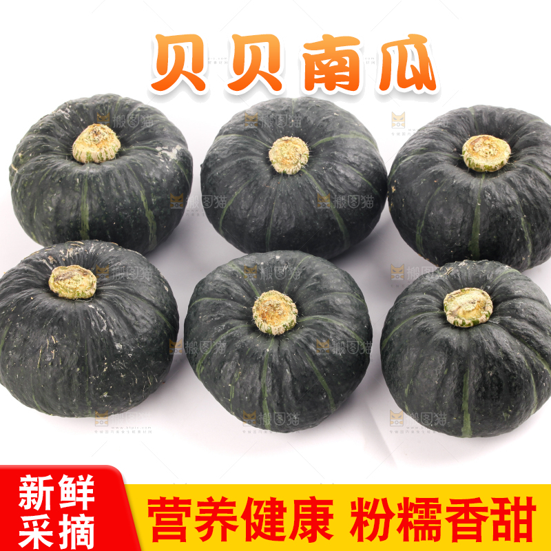 白底上放着的贝贝南瓜