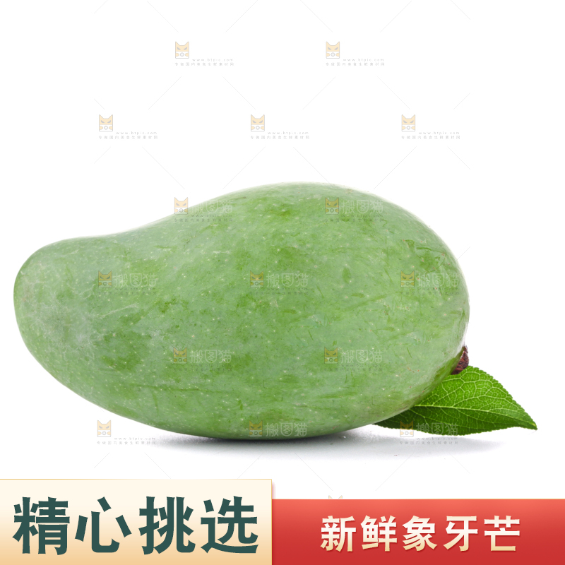 白底上的象牙芒