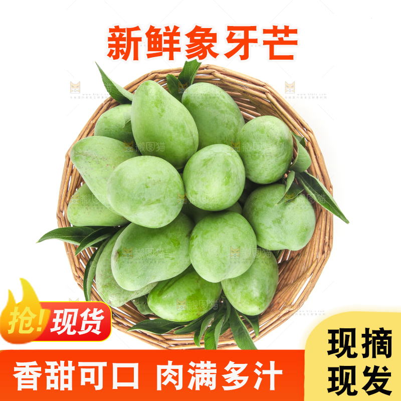 白底上的象牙芒
