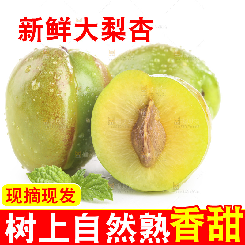 白底上的大梨杏