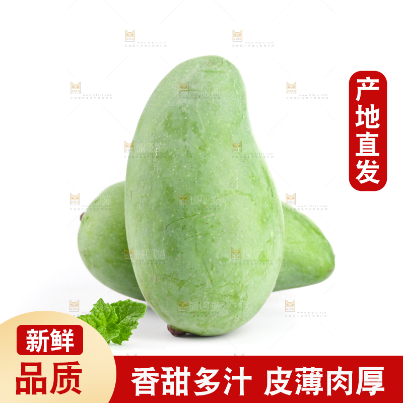白底上的象牙芒
