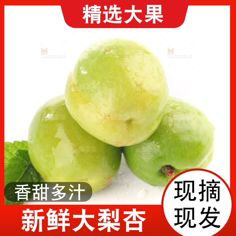 白底上的大梨杏