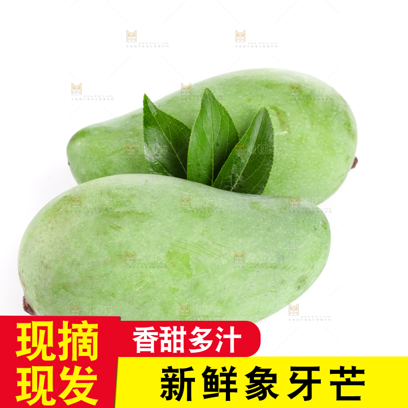 白底上的象牙芒