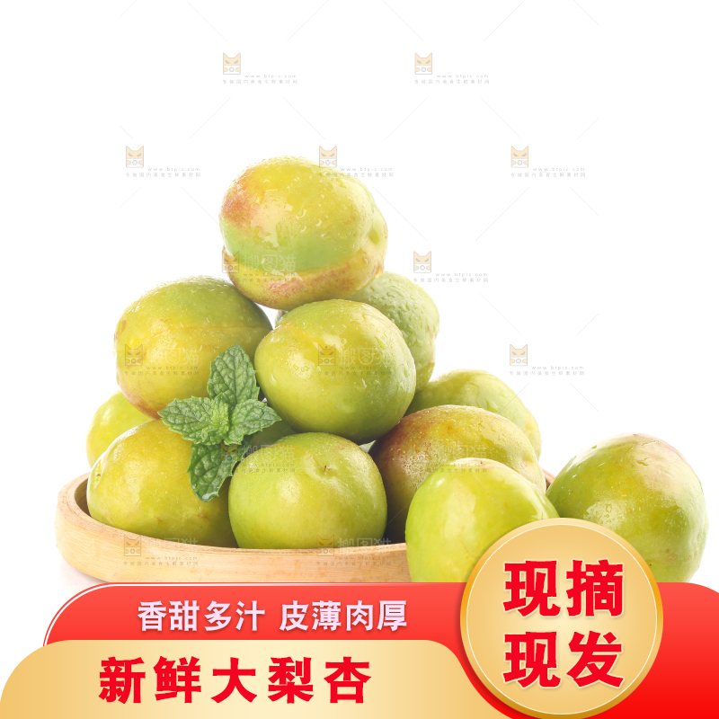 白底上的大梨杏