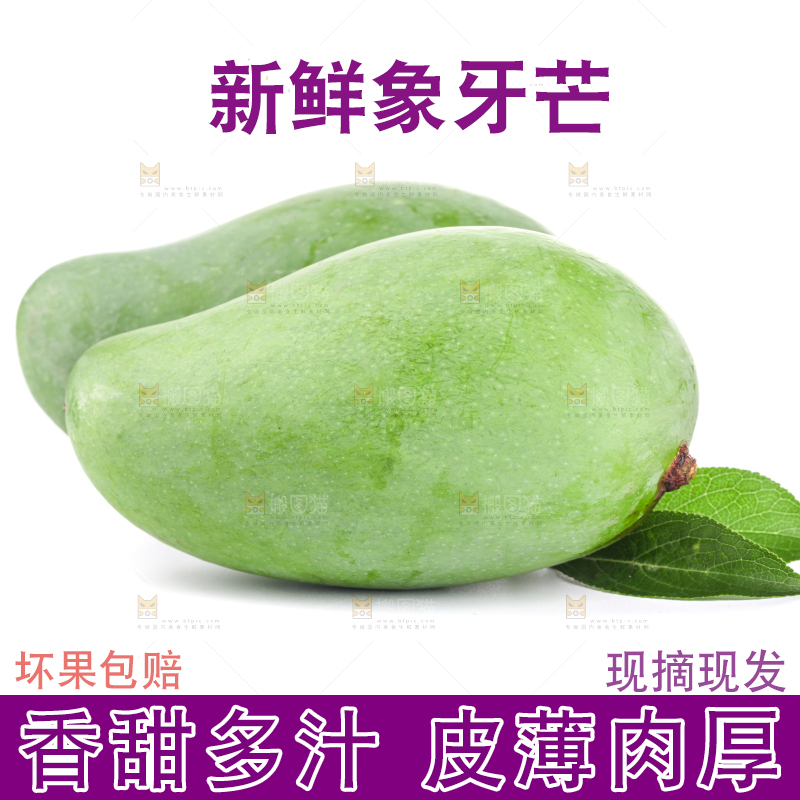 白底上的象牙芒