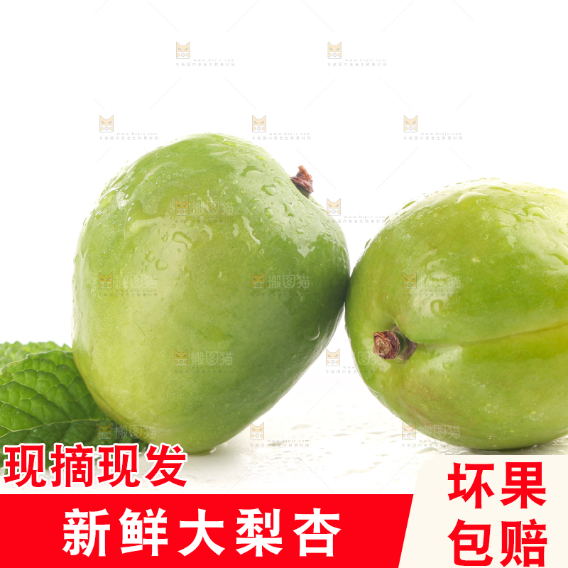 白底上的大梨杏