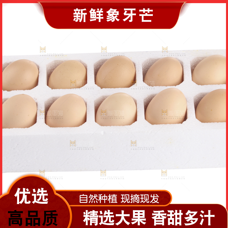白底上的象牙芒