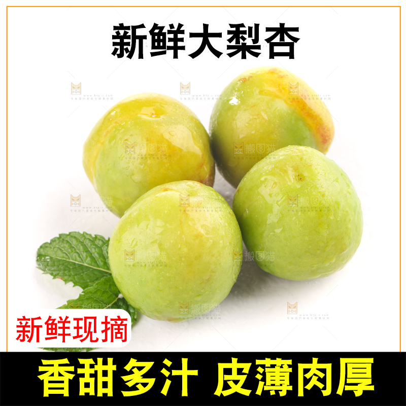 白底上的大梨杏