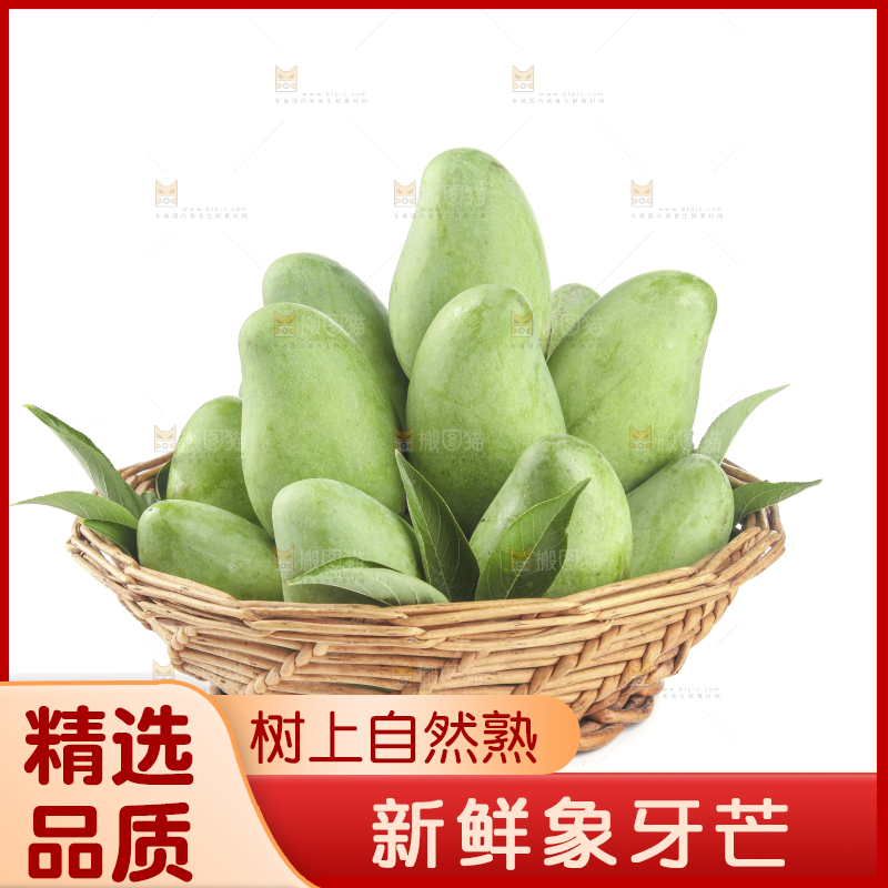 白底上的象牙芒
