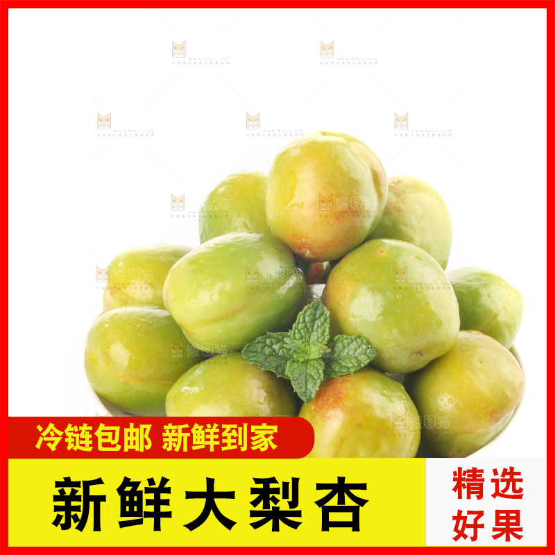 白底上的大梨杏