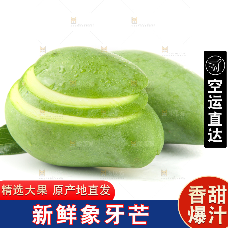 白底上的象牙芒