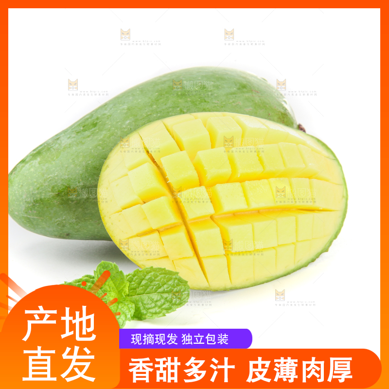 白底上的象牙芒