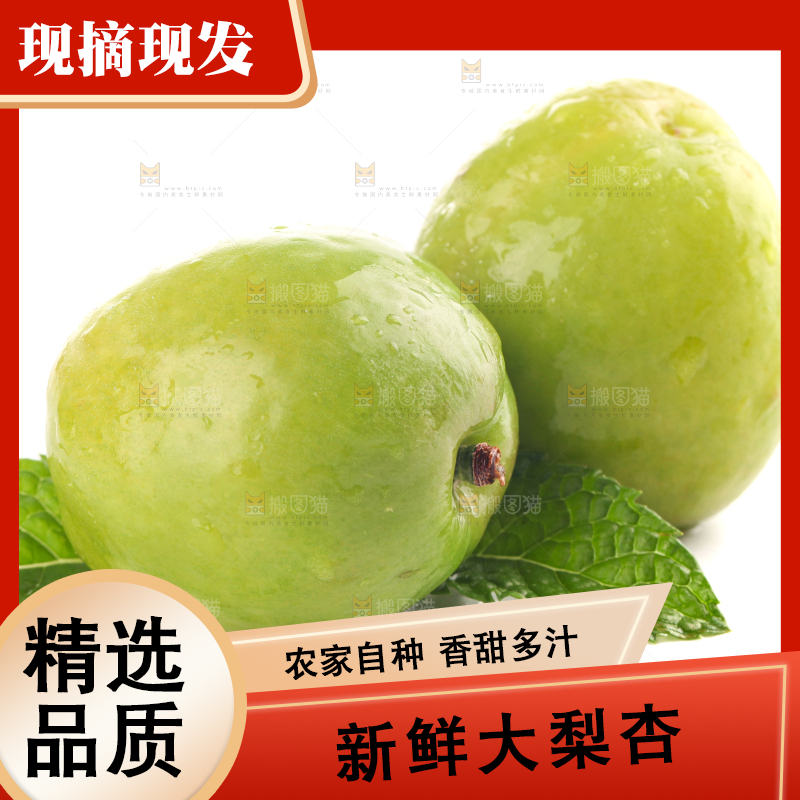 白底上的大梨杏
