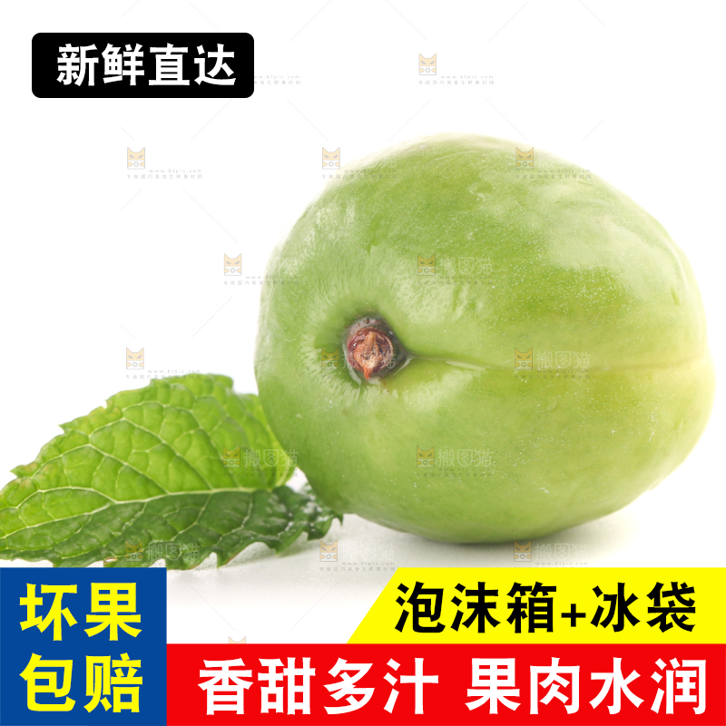 白底上的大梨杏