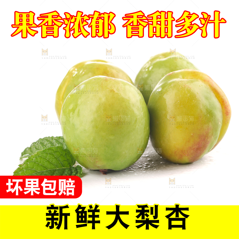 白底上的大梨杏