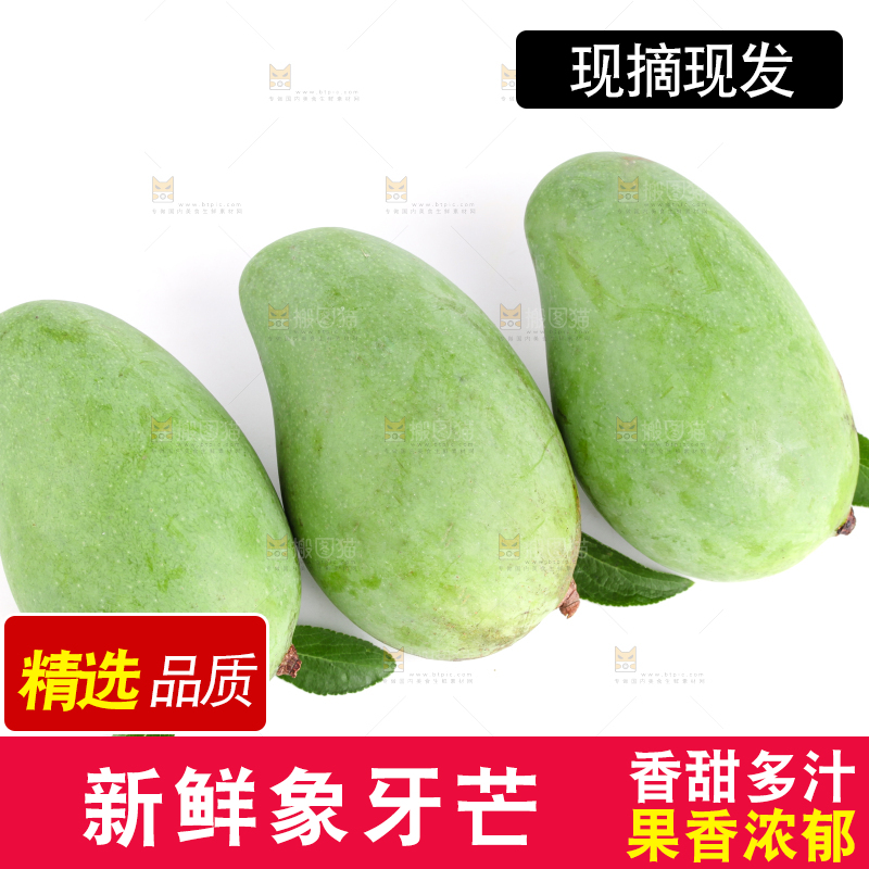 白底上的象牙芒