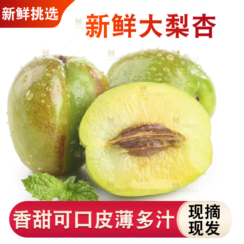 白底上的大梨杏