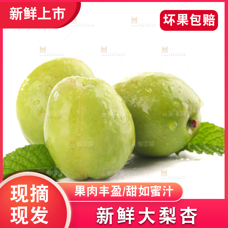 白底上的大梨杏