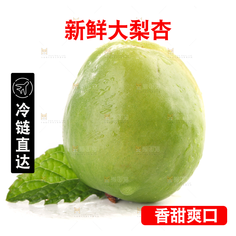 白底上的大梨杏