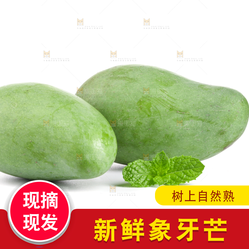 白底上的象牙芒