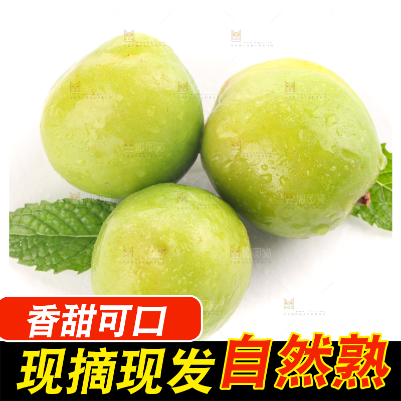 白底上的大梨杏