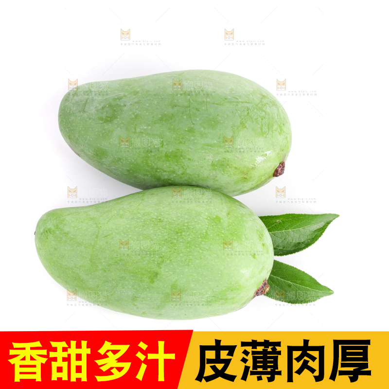 白底上的象牙芒
