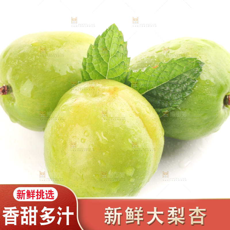 白底上的大梨杏