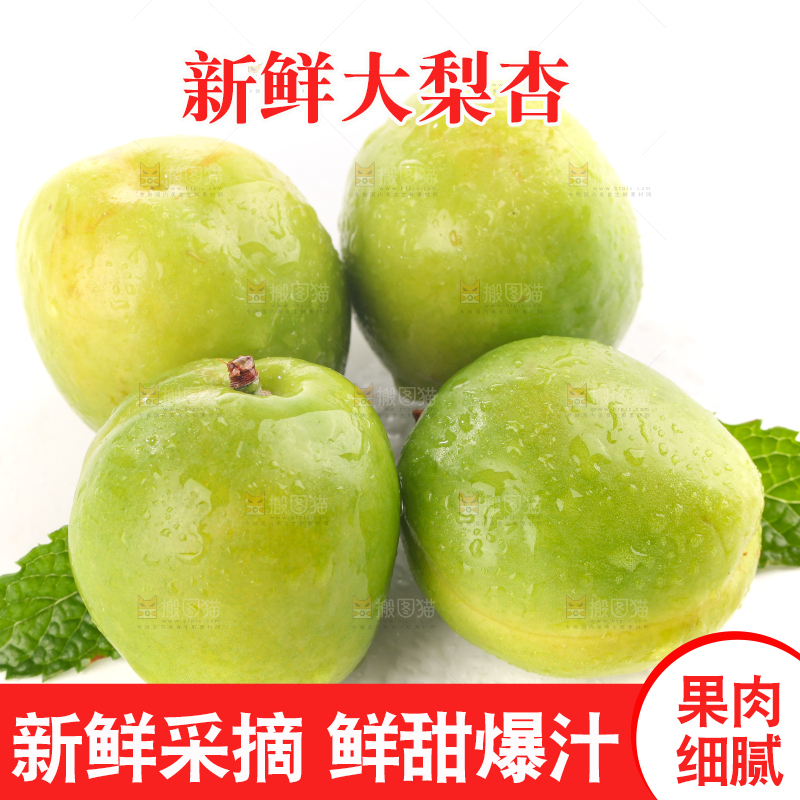 白底上的大梨杏