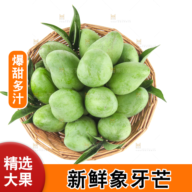 白底上的象牙芒