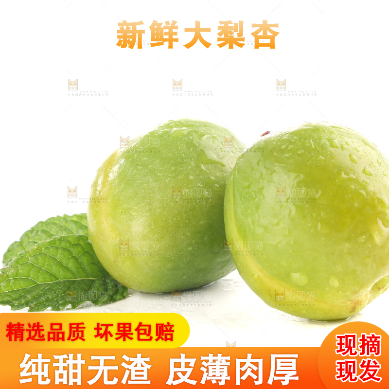 白底上的大梨杏