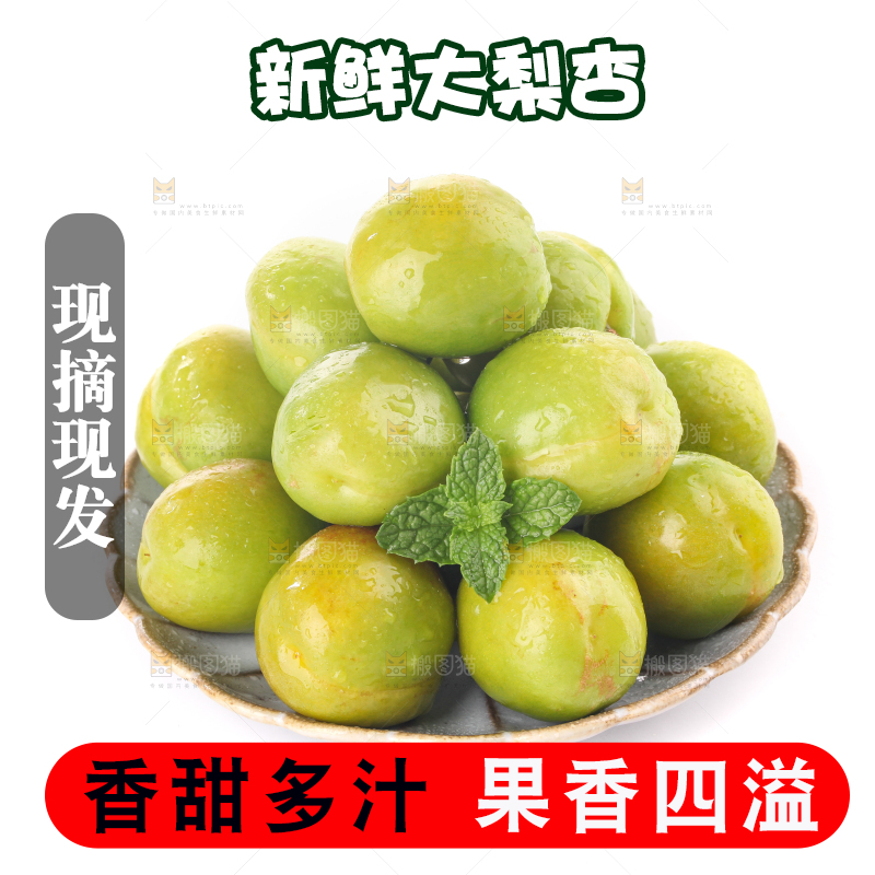 白底上的大梨杏