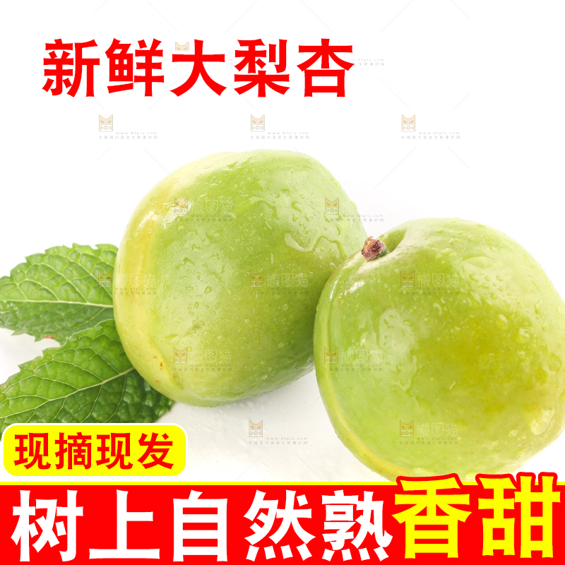 白底上的大梨杏