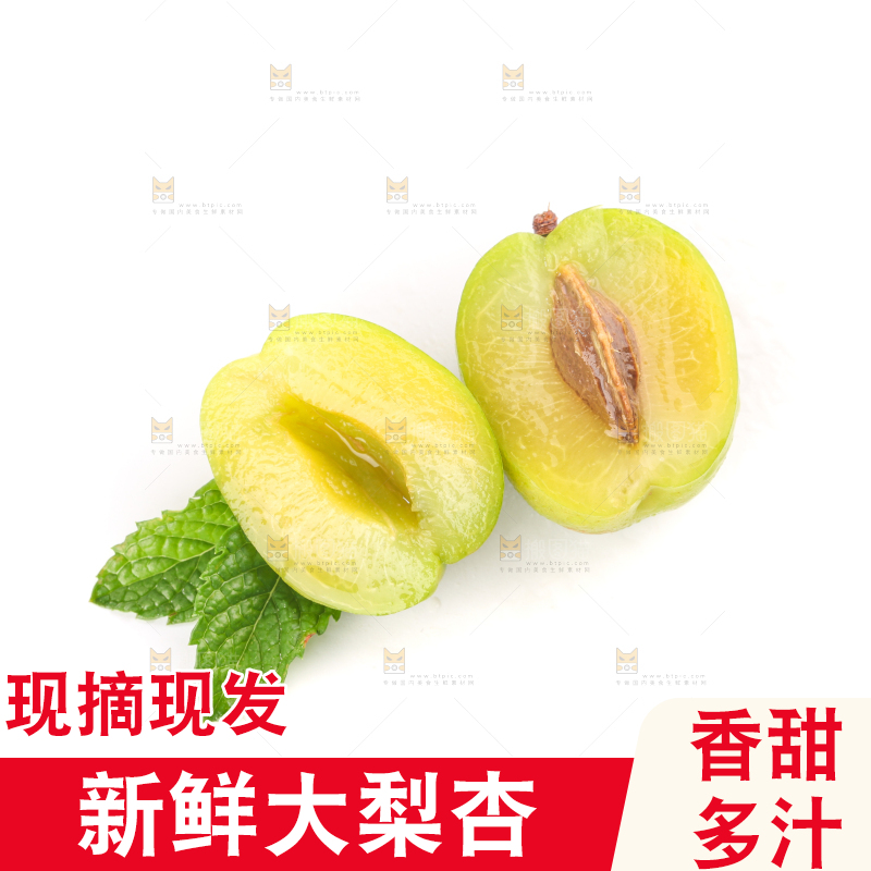 白底上的大梨杏