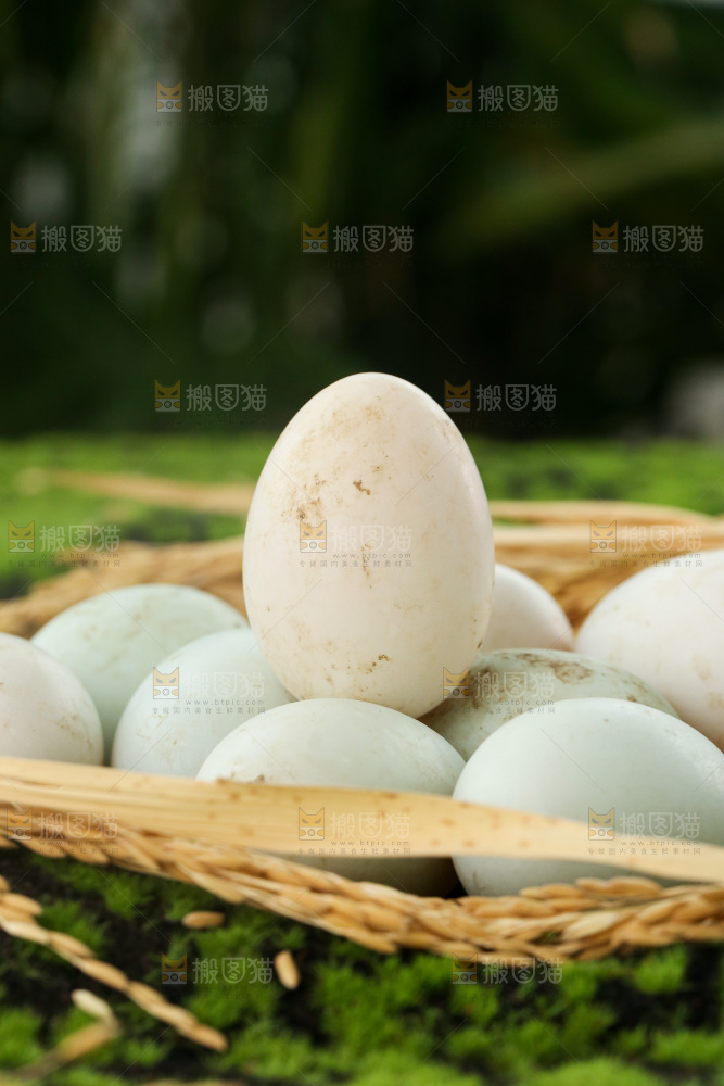 深底上的鸭蛋