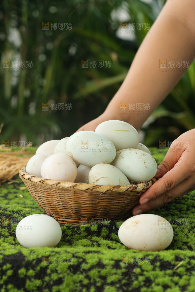深底上的鸭蛋
