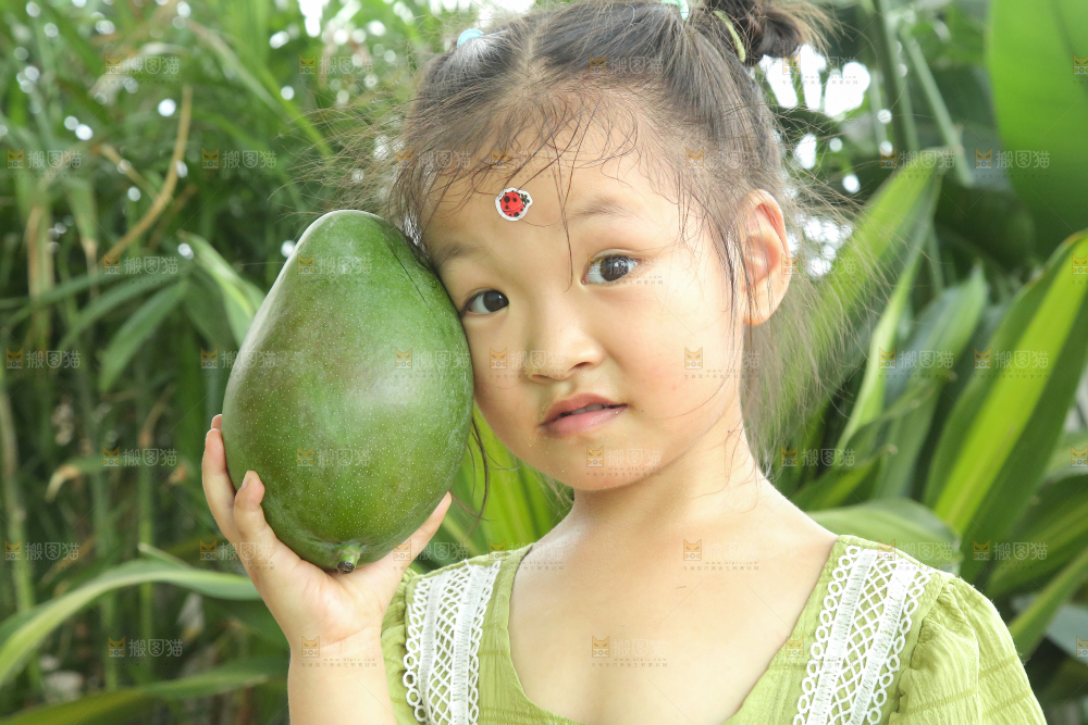 手里拿着凯特芒