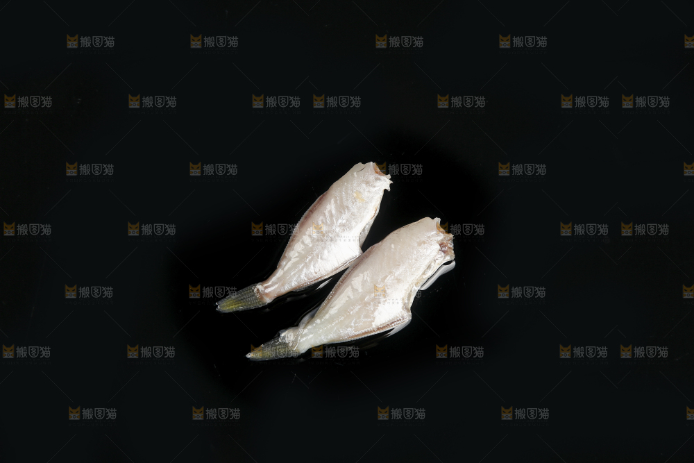 深底上的耗儿鱼