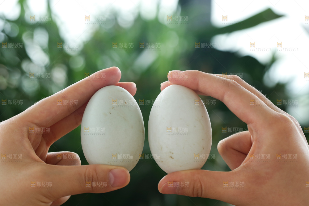 深底上的鸭蛋