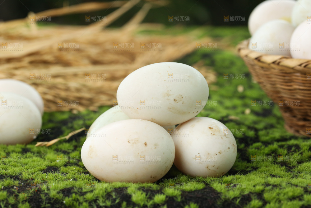深底上的鸭蛋