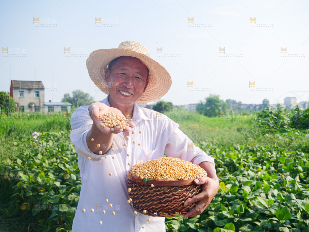 手里拿着黄豆