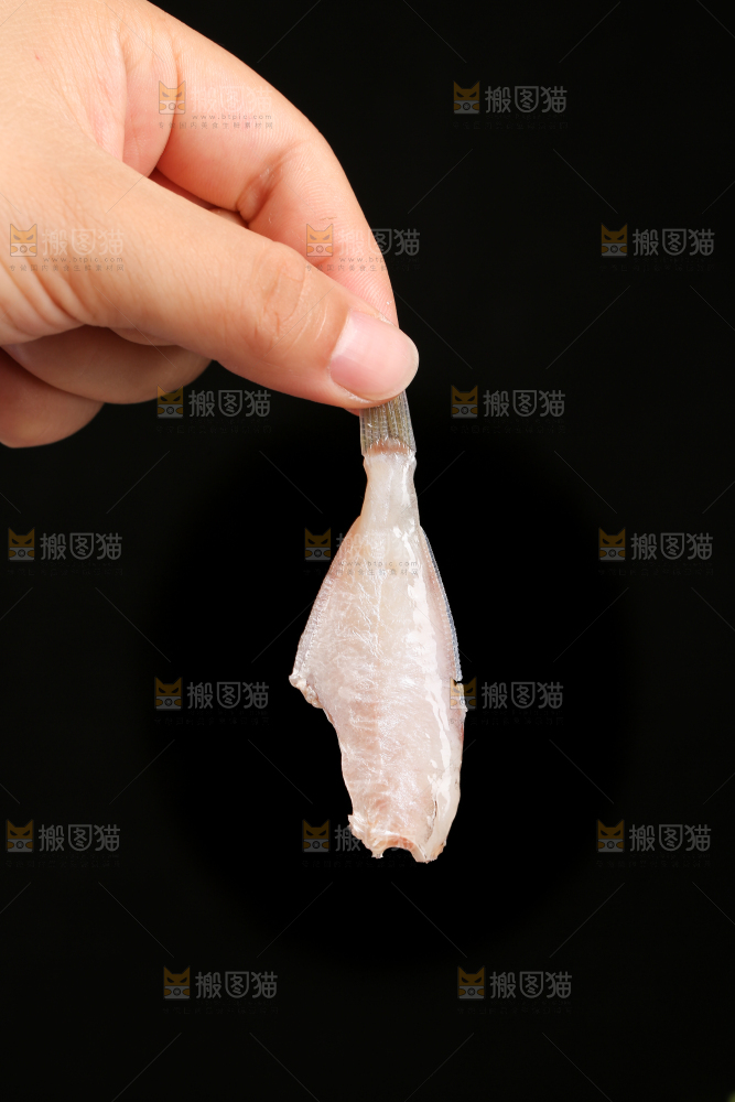 深底上的耗儿鱼