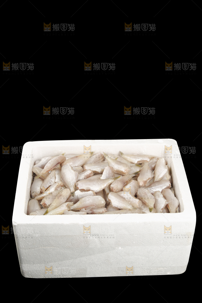 深底上的耗儿鱼