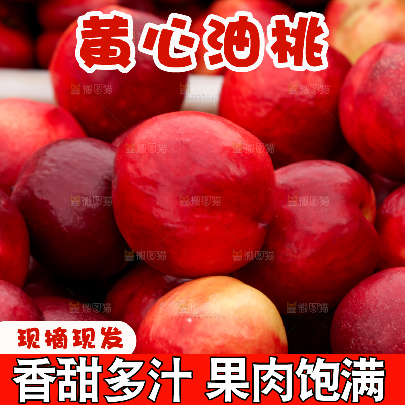 现摘的新鲜黄心油桃