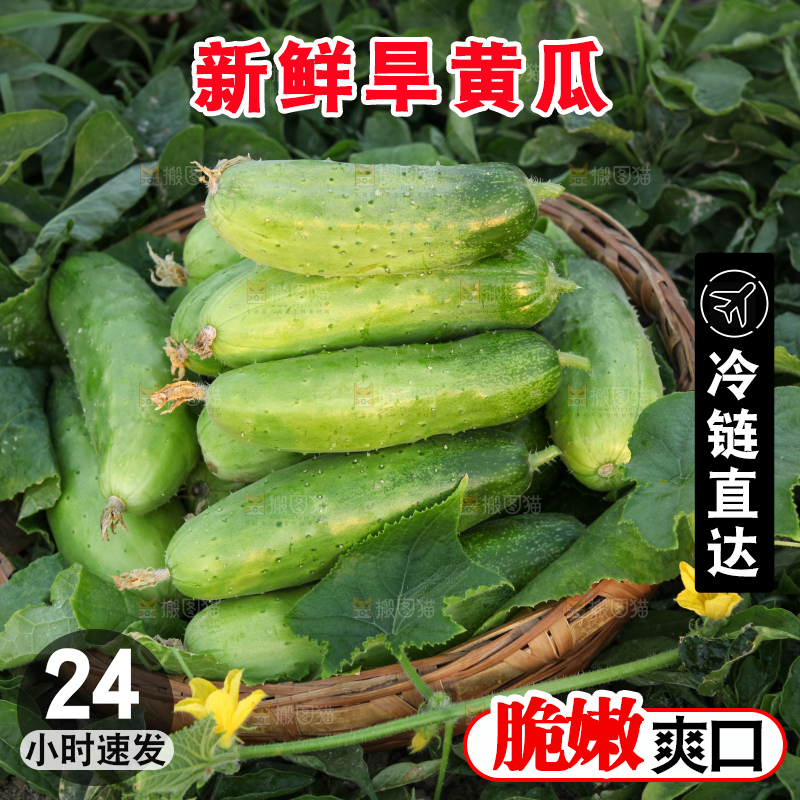 手里拿着刺黄瓜
