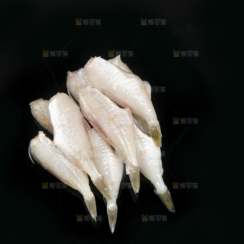 深底上的耗儿鱼