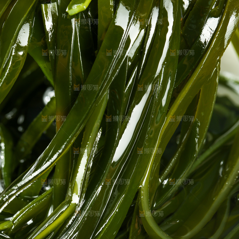 木底上的压缩海带丝