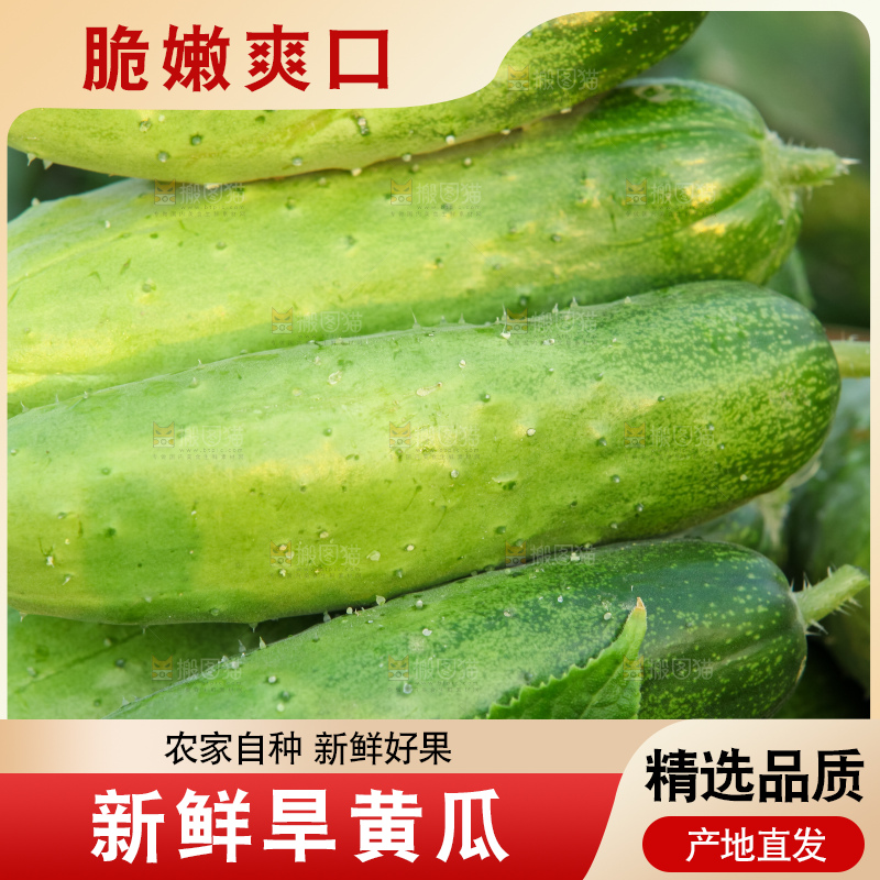 手里拿着刺黄瓜